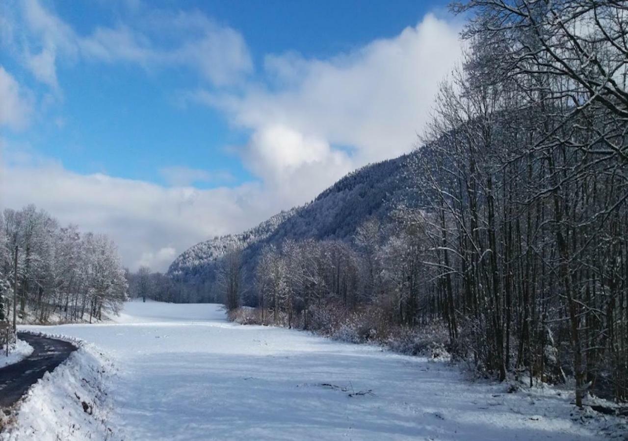 NatureZenKota Mittlach Bagian luar foto