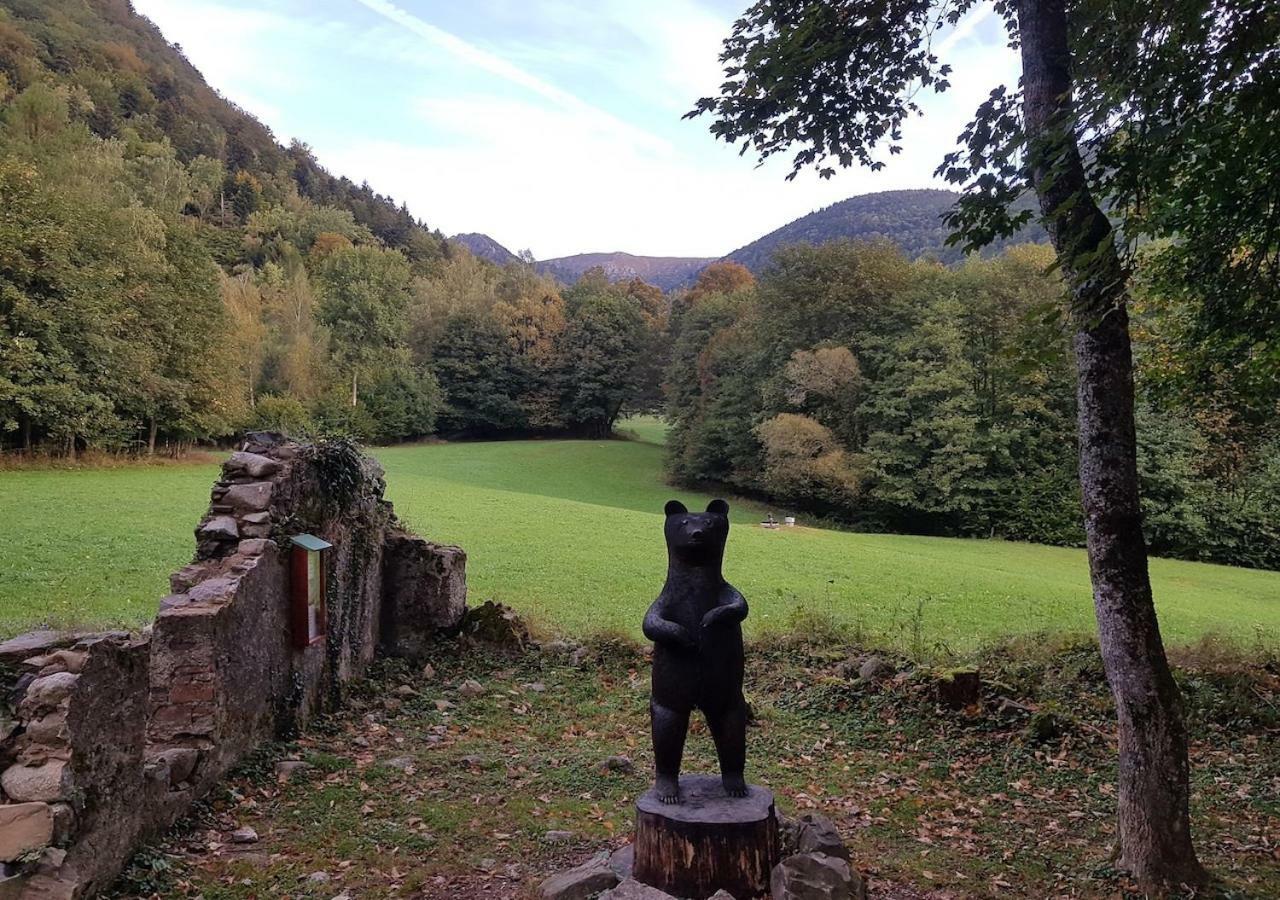 NatureZenKota Mittlach Bagian luar foto