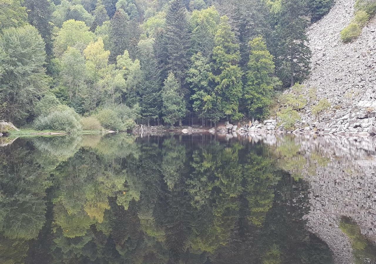 NatureZenKota Mittlach Bagian luar foto