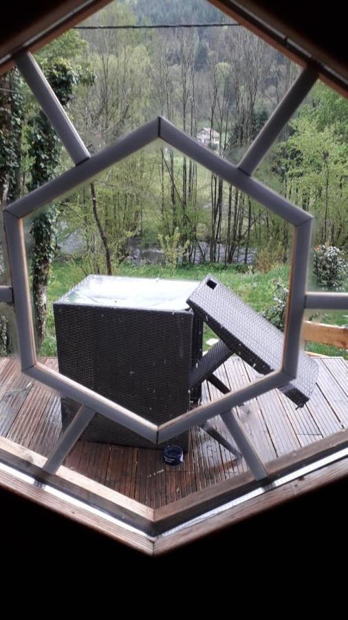NatureZenKota Mittlach Bagian luar foto